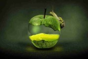 追本溯源·底层逻辑｜鉴黄师电脑版｜震撼｜对照解析，鉴黄师是干嘛的知乎